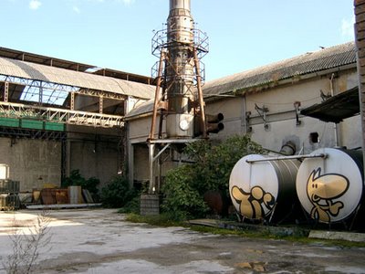 Canesio