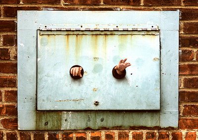 Dan Witz