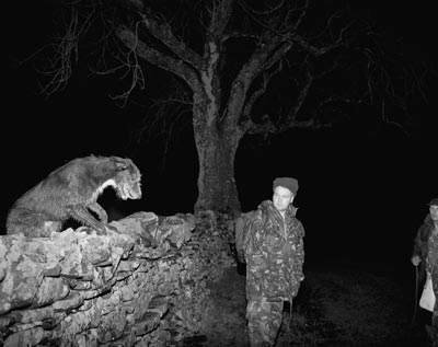 Chris Steele Perkins