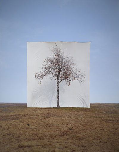 Myoung Ho Lee