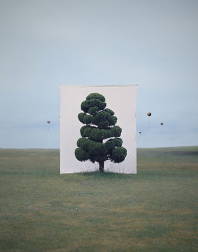 Myoung Ho Lee