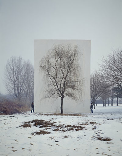 Myoung Ho Lee