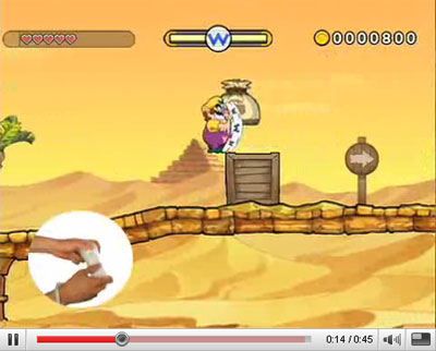 wario land