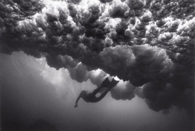 Wayne Levin