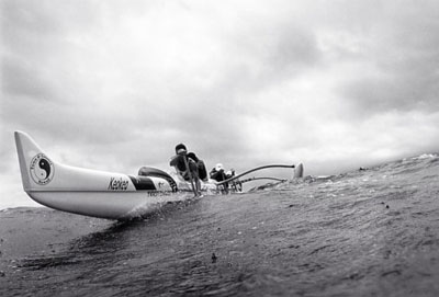 Wayne Levin