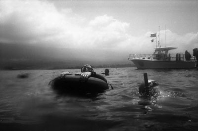 Wayne Levin