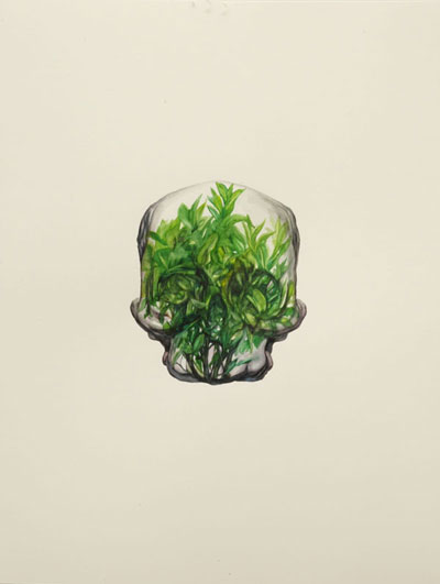 Stephan Balleux