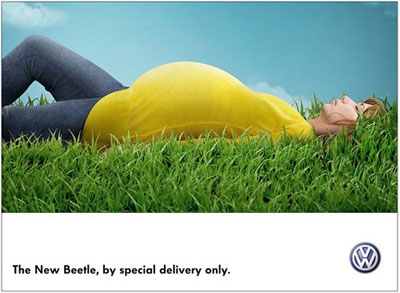beetle