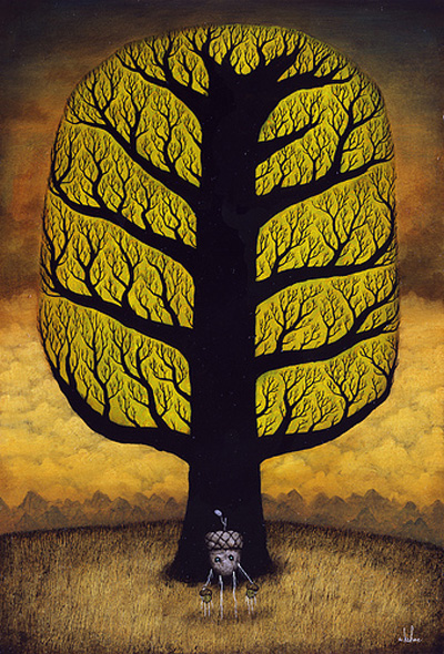 Andy Kehoe