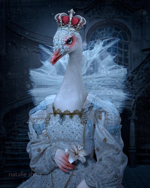 Natalie-Shau-03