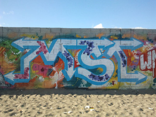 ms1